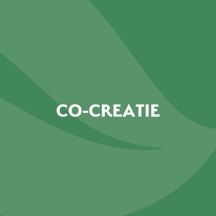 Workshop 5: Co-creatie